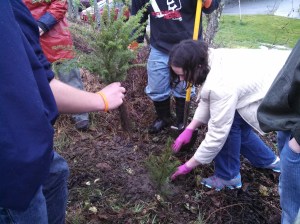 Planting seedlings at Crescent