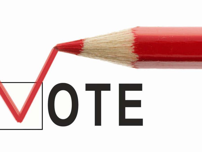 OCA primary election 2026&nbsp;endorsements