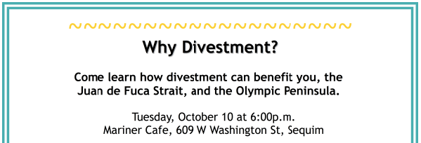 Why Divestment talk inset