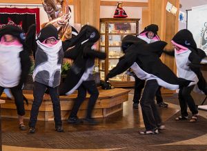 North Olympic Orca Pod