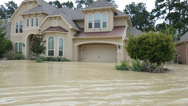 The home of a former City of Sequim staffer near Houston. A Mustang Shelby in the garage is just over 50" high...