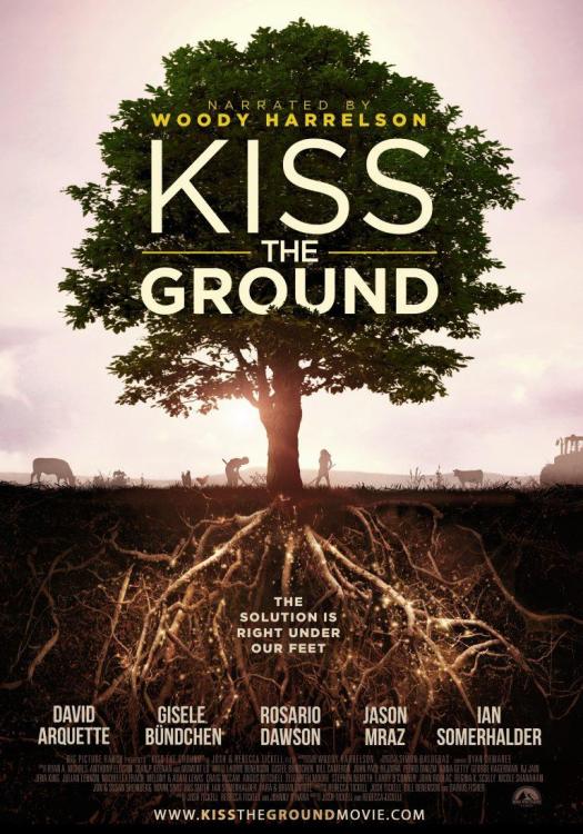 Kiss the Ground Movie Poster. Profile showing tree and roots as equals.