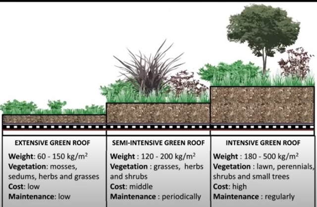 Three types of green roofs
