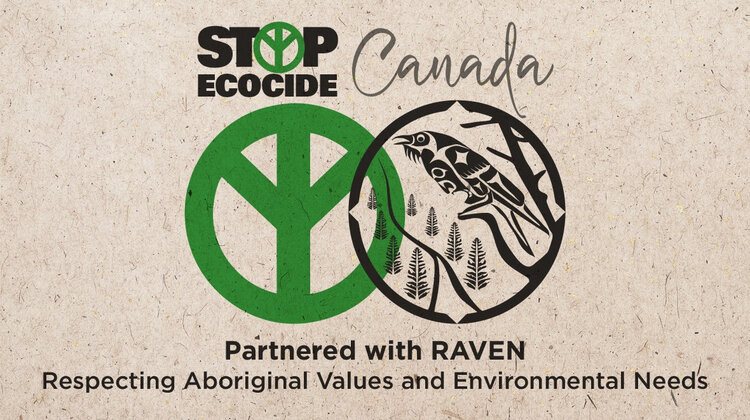 Stop Ecocide Canada. Partnered with Raven.