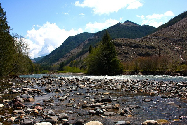 Scenic image of rocks in a stream with mountains in the background.