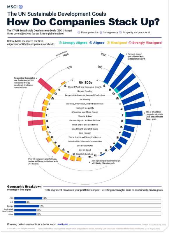 How do global companies stack up with the UN Sustainable Development Goals? Bar graphs on the outside of a circle.