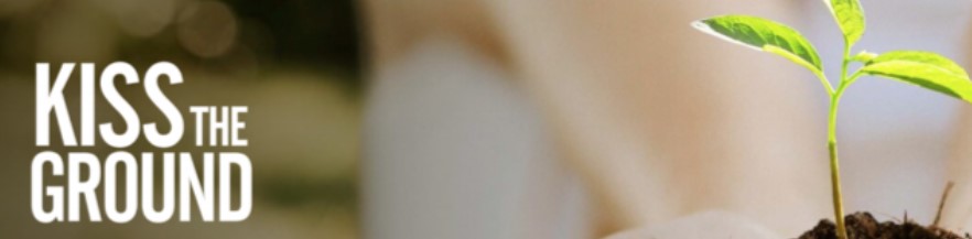 Kiss the Ground banner. Logo and plant sprouting.