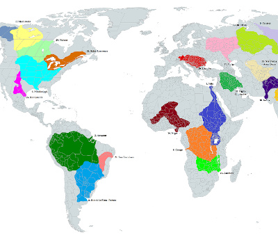Global Map showing in color the 30 largest river systems.