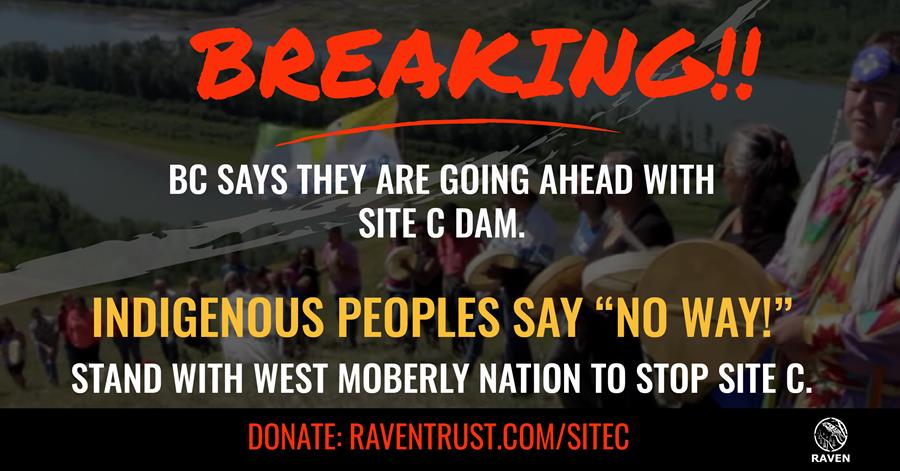 British Columbia says they are going ahead with site C dam. Indigenous peoples say "NO WAY!"