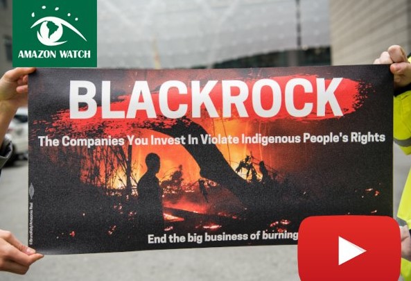 Blackrock-The companies you invest in violate indigenous people's rights. End the big business of burning.
