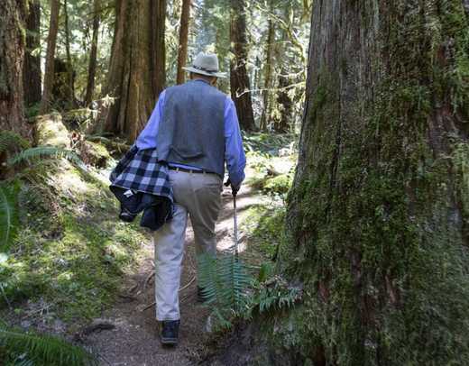 Man walking in the woods.