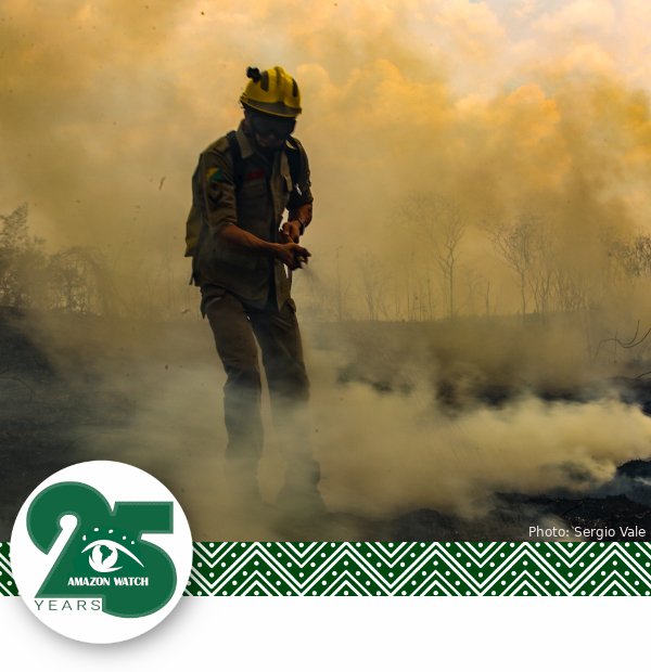 Fires Rage Over the Amazon - Fire fighter squirting water in burned forest.