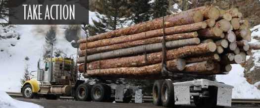 A loaded loggong truck in the snow.