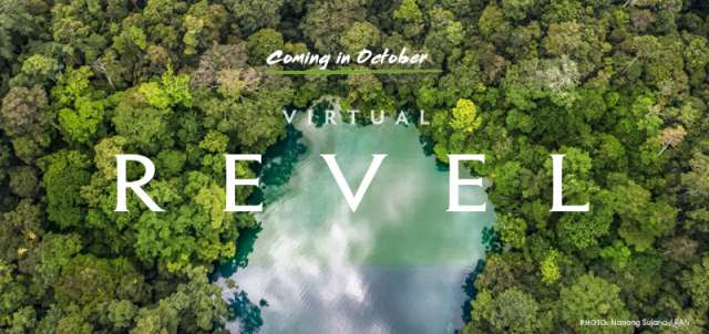 Coming in October - Virtual REVEL