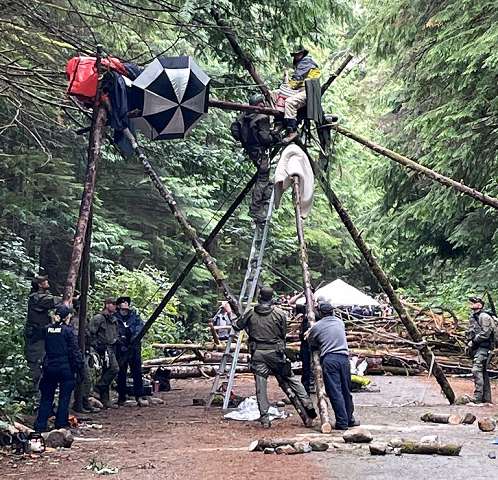 Pole stand for forestry protest.