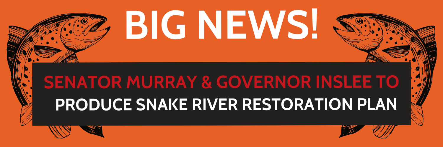 BIG NEWS-Senator Murray & Gov. Inslee to Produce Snake River Restoration Plan