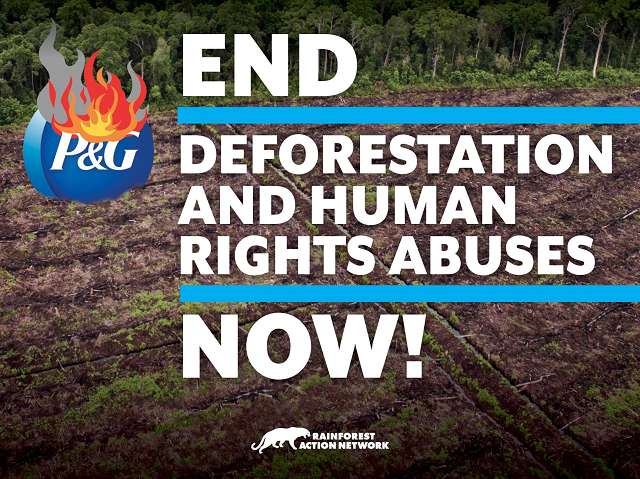 End Deforestation and Human Rights Abuses Now!