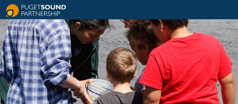 Folks looking into a bucket, with interest, on the beach.