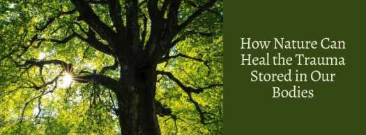 How Nature Can Heal the Trauma Stored in Our Bodies