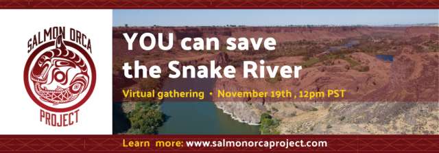 Salmon Orca Project Virtual gathering, Nov 19 at 12 pm