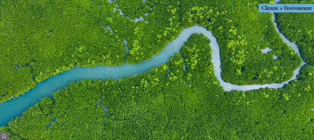 Arial view of the Amazon River
