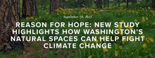 Reason for Hope: New Study