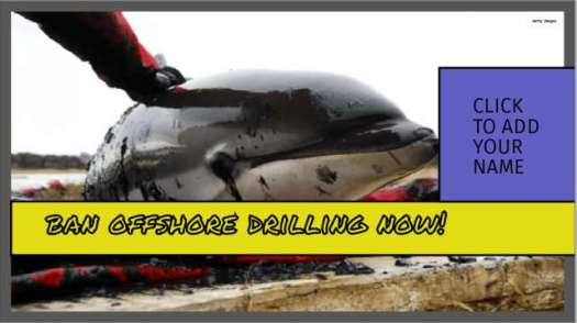 Oily Dolphin - Ban Offshore Drilling Now! - Click to add your name.