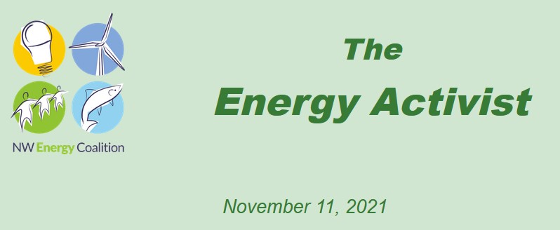 The Energy Activist-November 2021
