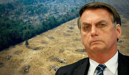 Bolsonaro portrait in front of deforested land.