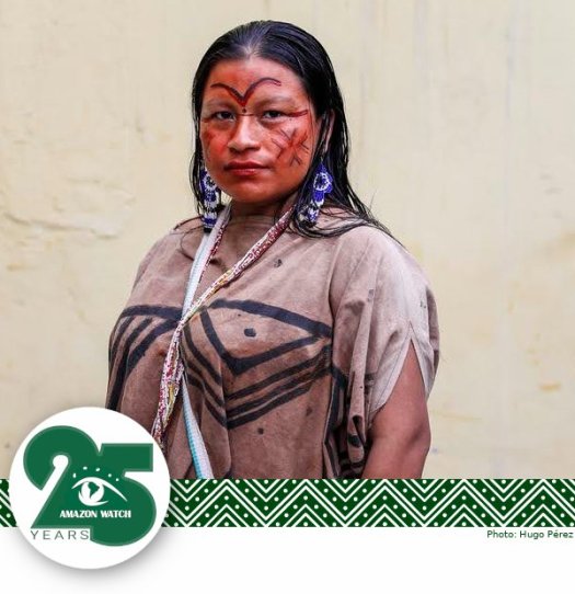 Diana Perez -- Amazon Watch