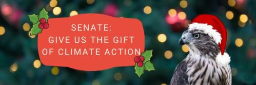 Give us thegift of climate action
