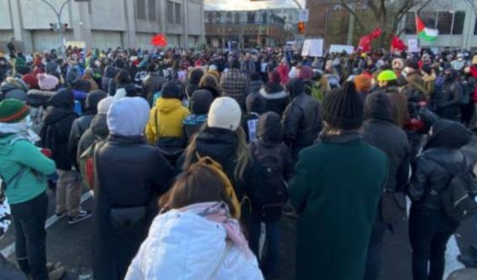 Unist'ot'en Solidarity Brigade