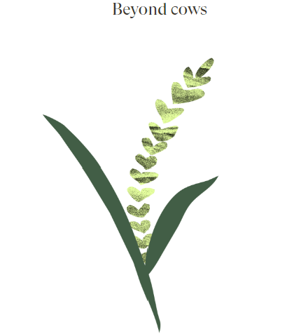 drawing of a plant with two leaves and tiny hearts representing the stalk of petals.