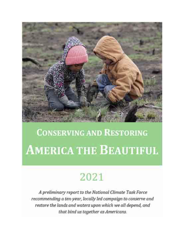 Figure 1. Twenty-four pages of mostly greenwashing. Source: The Biden Administration.