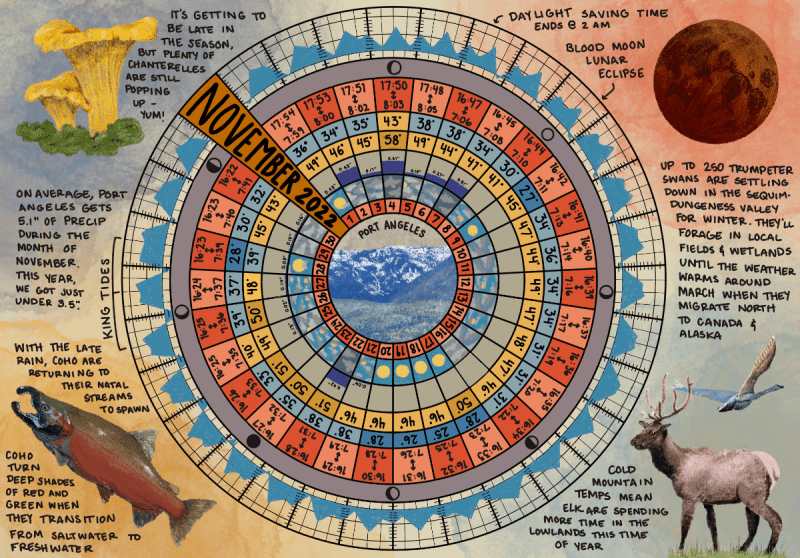 North Olympic Land Trust phenology wheel example.
