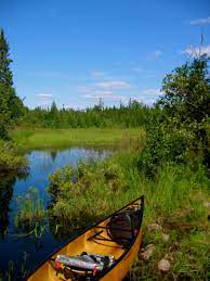 Canoe at Boundary Waters Canoe Area. Image by USDA.