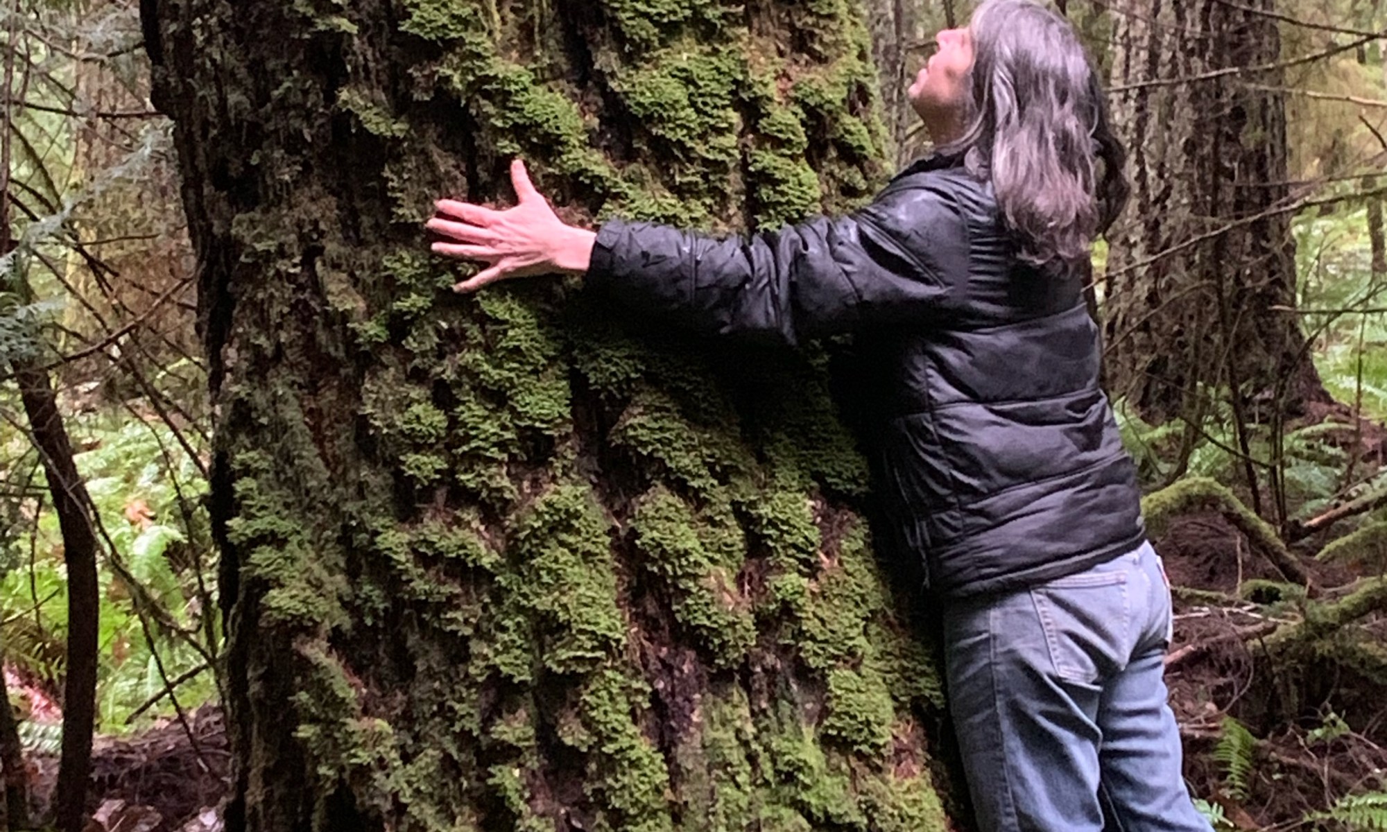 Woman leans on an old tree and looks up at it