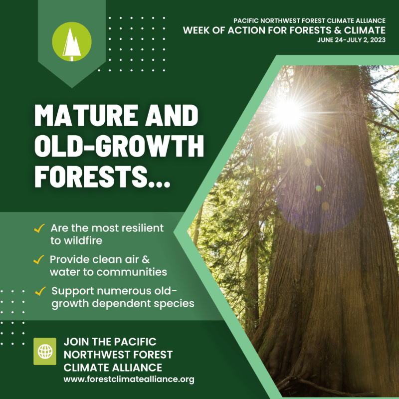 social media graphics to save forests