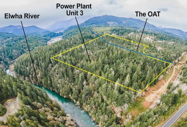 Map of timber sales in the Elwha watershed.