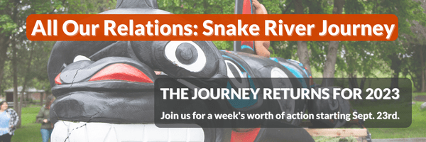 Snake River journey poster