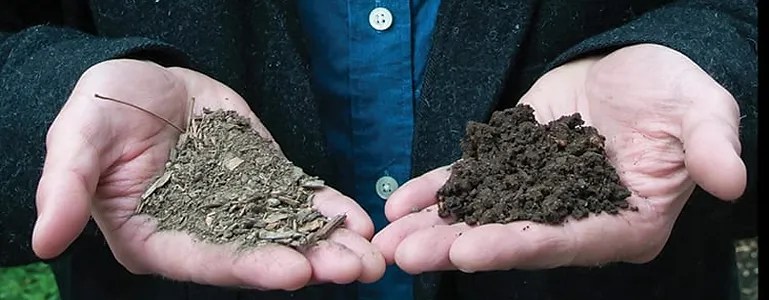 Biochar Image by Anne Bikle