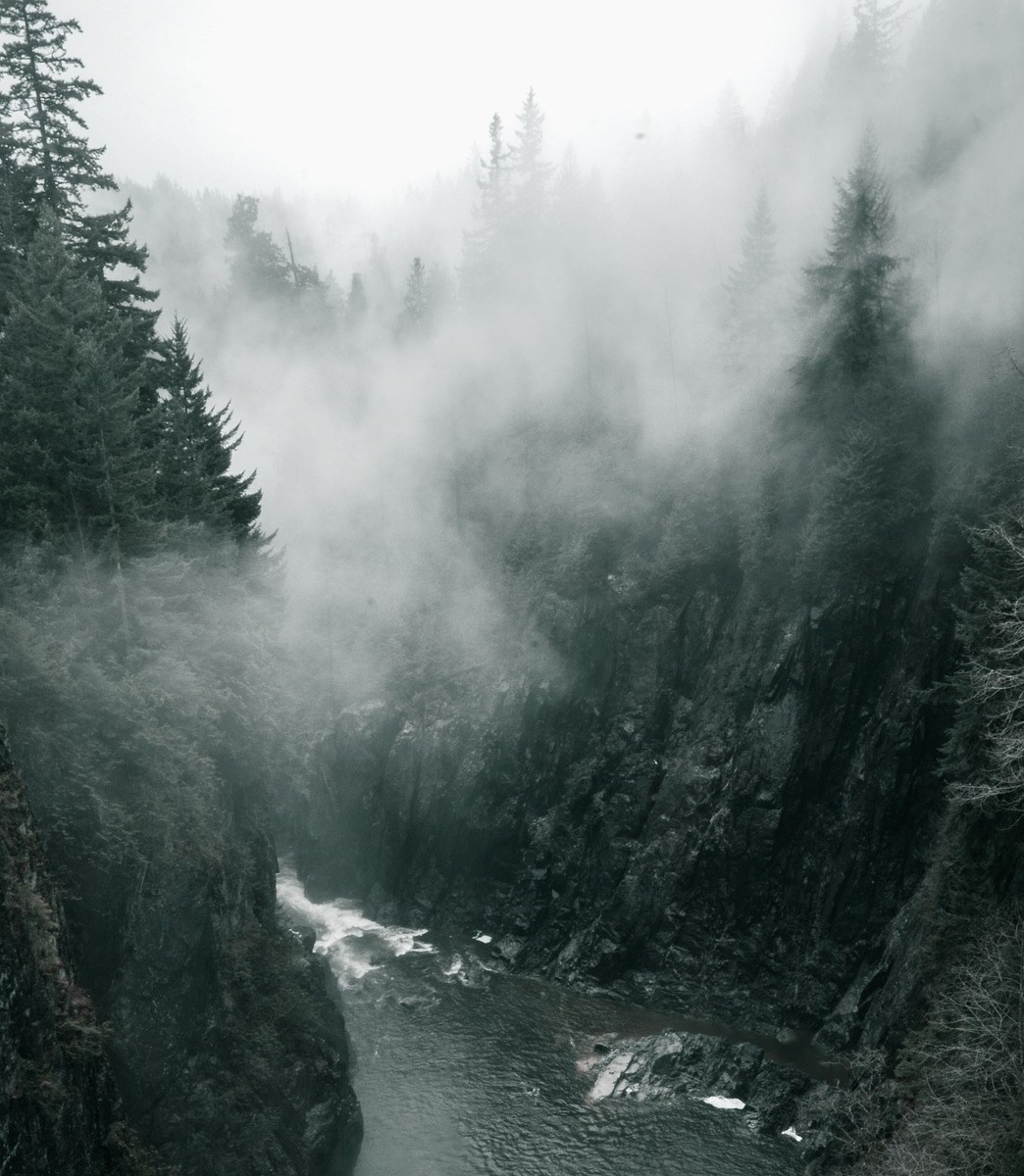 Foggy woods with flowing river