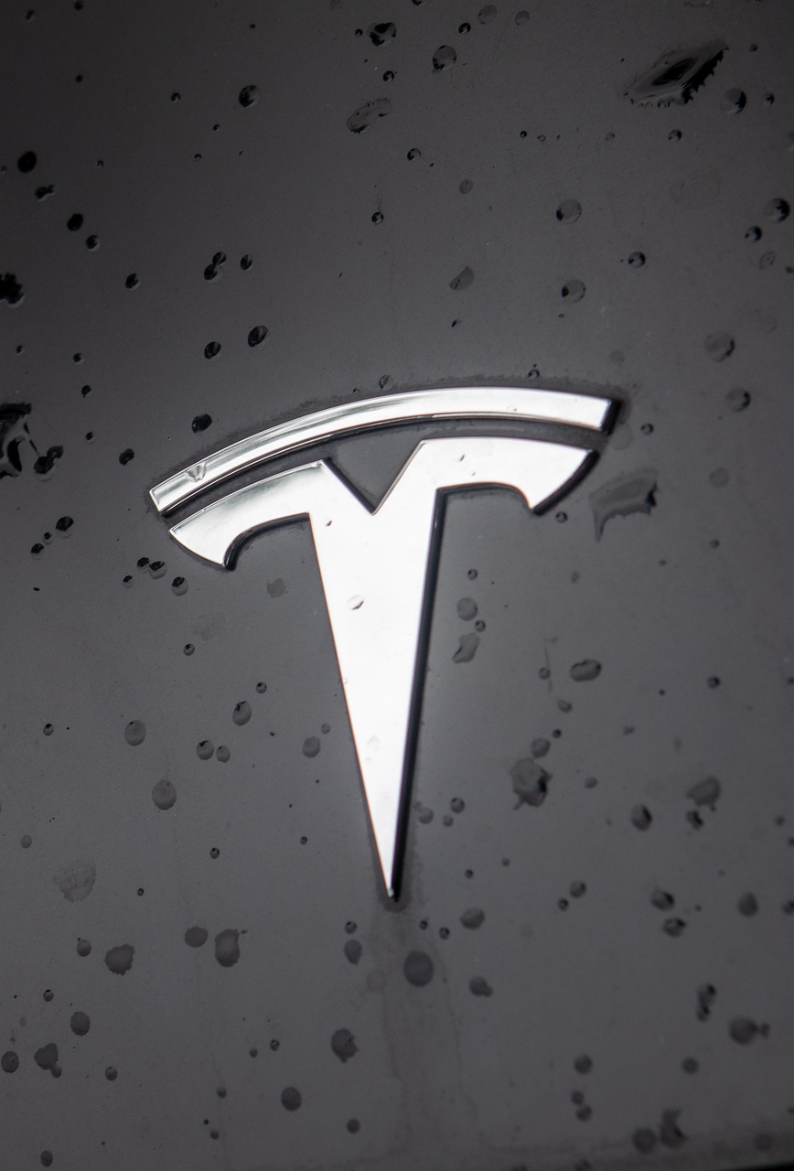 With Tesla stock plummeting, Musk turns to bully tactics – Olympic ...