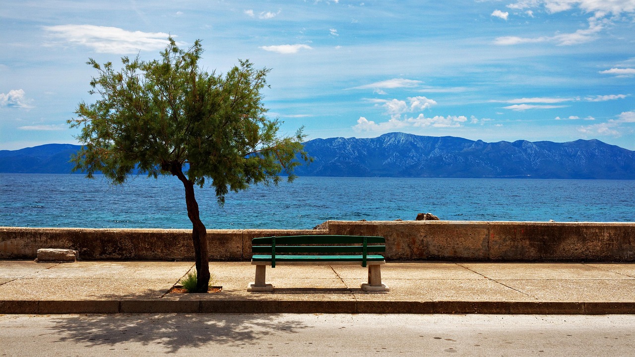 Bench and tree facing water and mountains