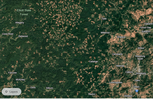 Google Earth Image of the “checkerboard” pattern of alternating private lands (with clearcuts) and BLM lands (US federal land; remaining green areas between clearcuts) in southern Oregon. Onshore logging does nothing to solve domestic forest losses or global deforestation.