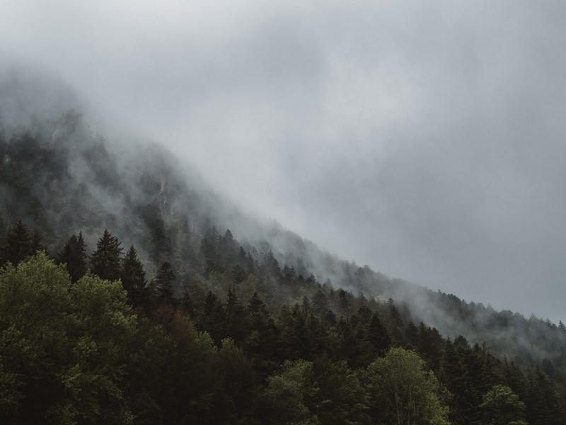 Protect the Roadless Rule which protects our&nbsp;forests