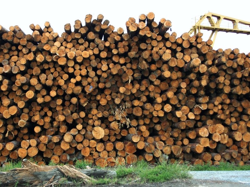 Wildfire Pretense Logging: The Trojan Horse Destroying Public&nbsp;Lands