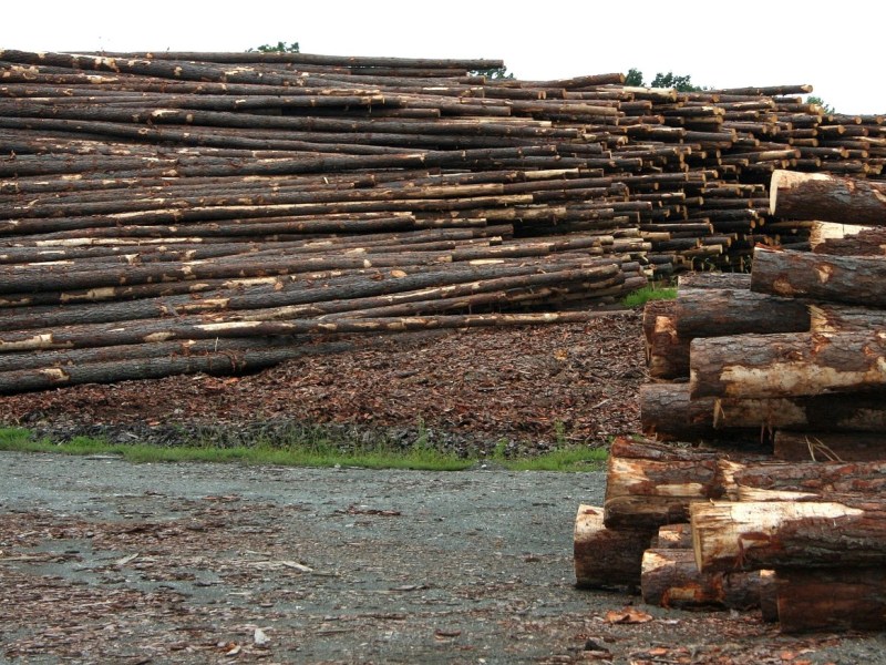 A logging bill masquerading as wildfire&nbsp;protection