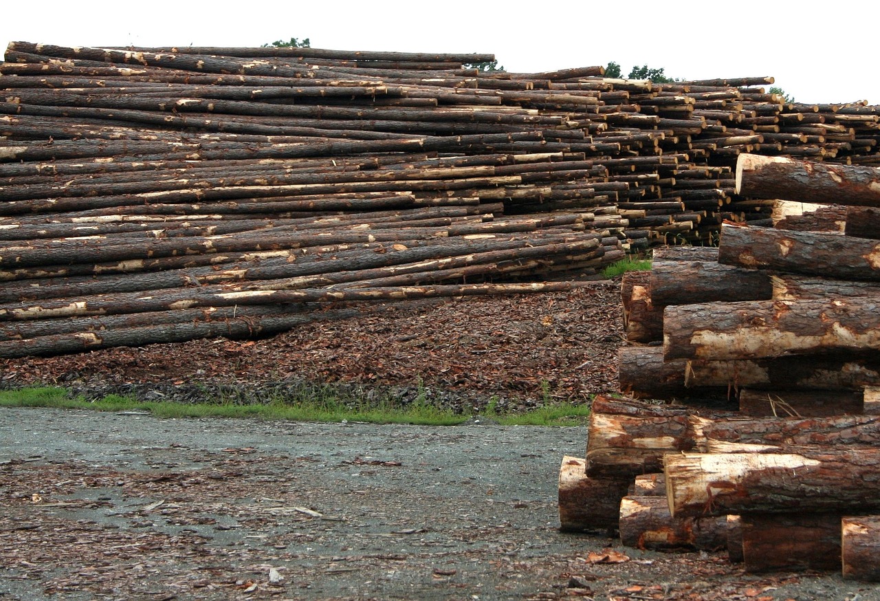Logs piled up