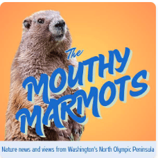 38-year ONP ranger reflects on climate change in the&nbsp;Olympics